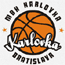 https://img.ebianhu.cn/img/basketball/team/0c2f73d2ab7041cf90029a20deff7f17.gif